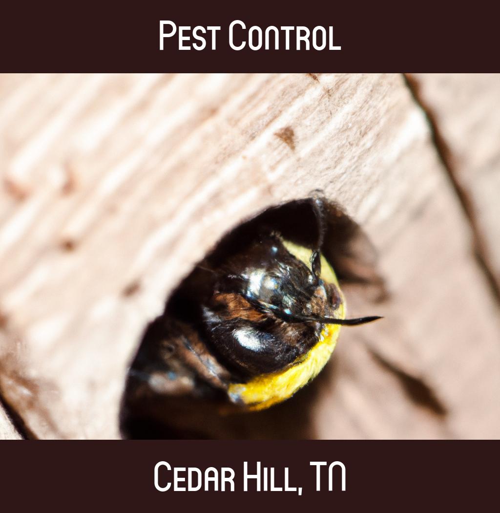 pest control in Cedar Hill Tennessee