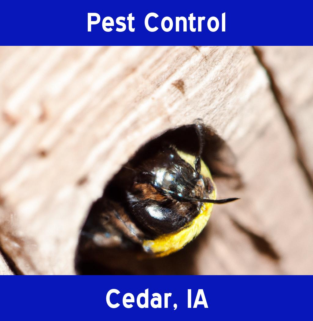 pest control in Cedar Iowa