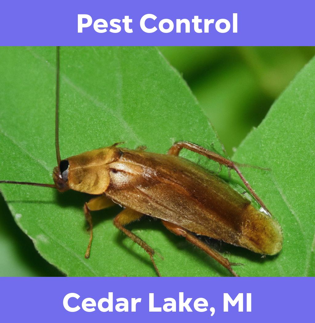 pest control in Cedar Lake Michigan
