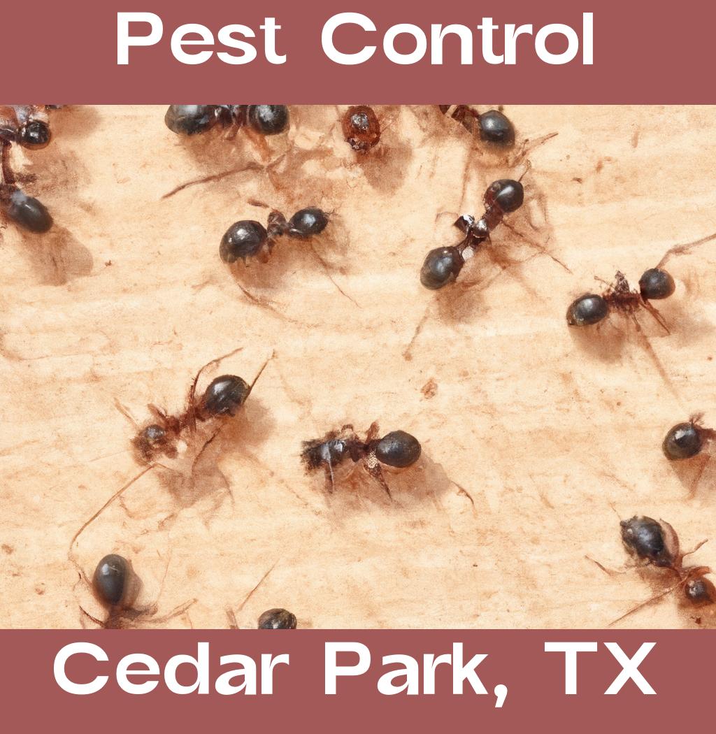 pest control in Cedar Park Texas