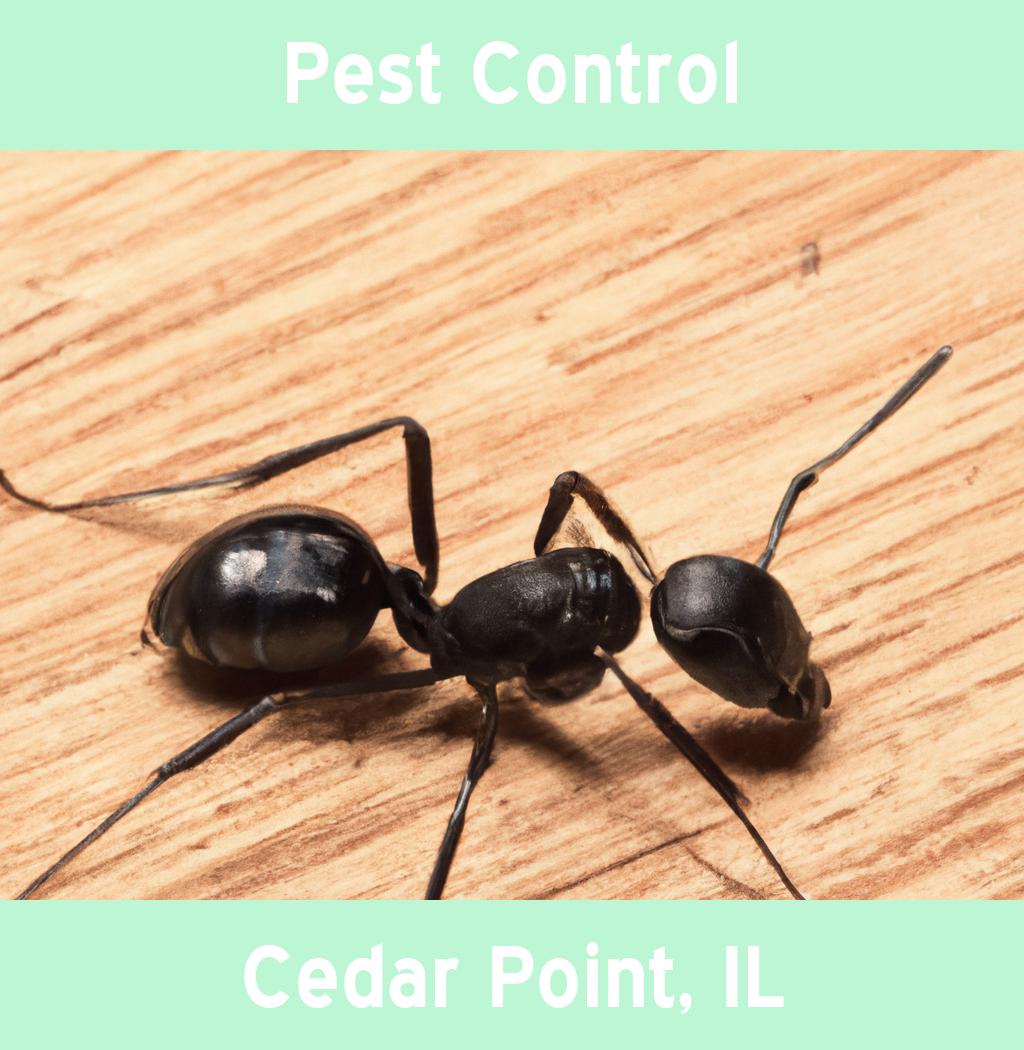 pest control in Cedar Point Illinois
