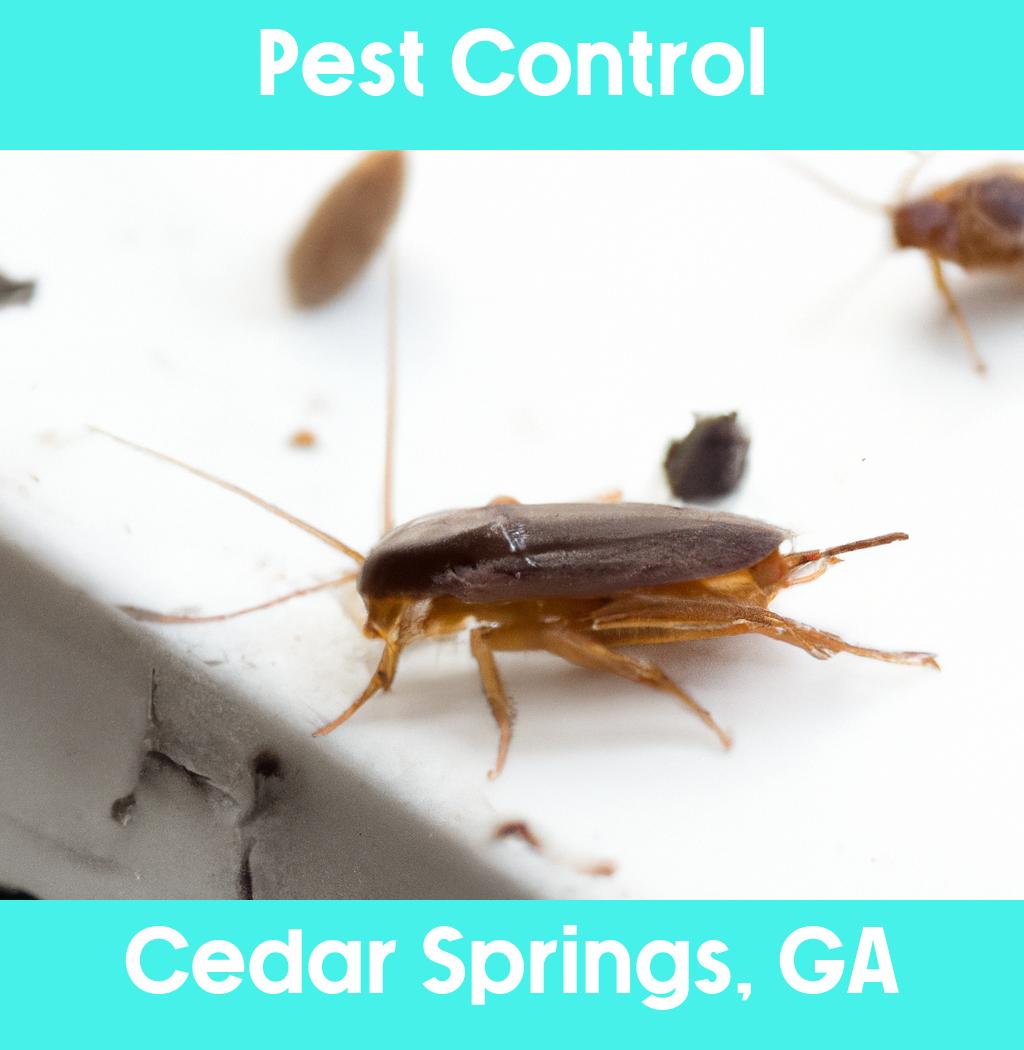 pest control in Cedar Springs Georgia