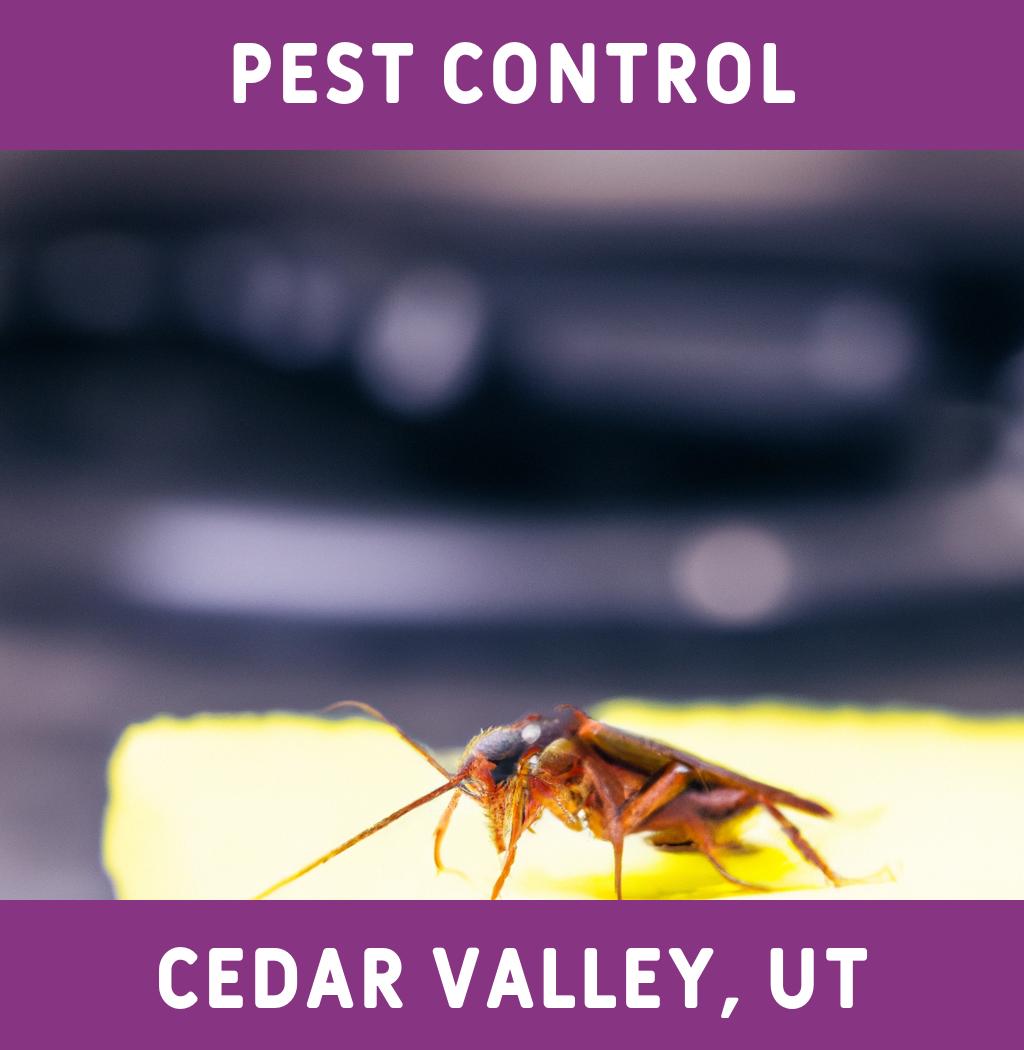 pest control in Cedar Valley Utah
