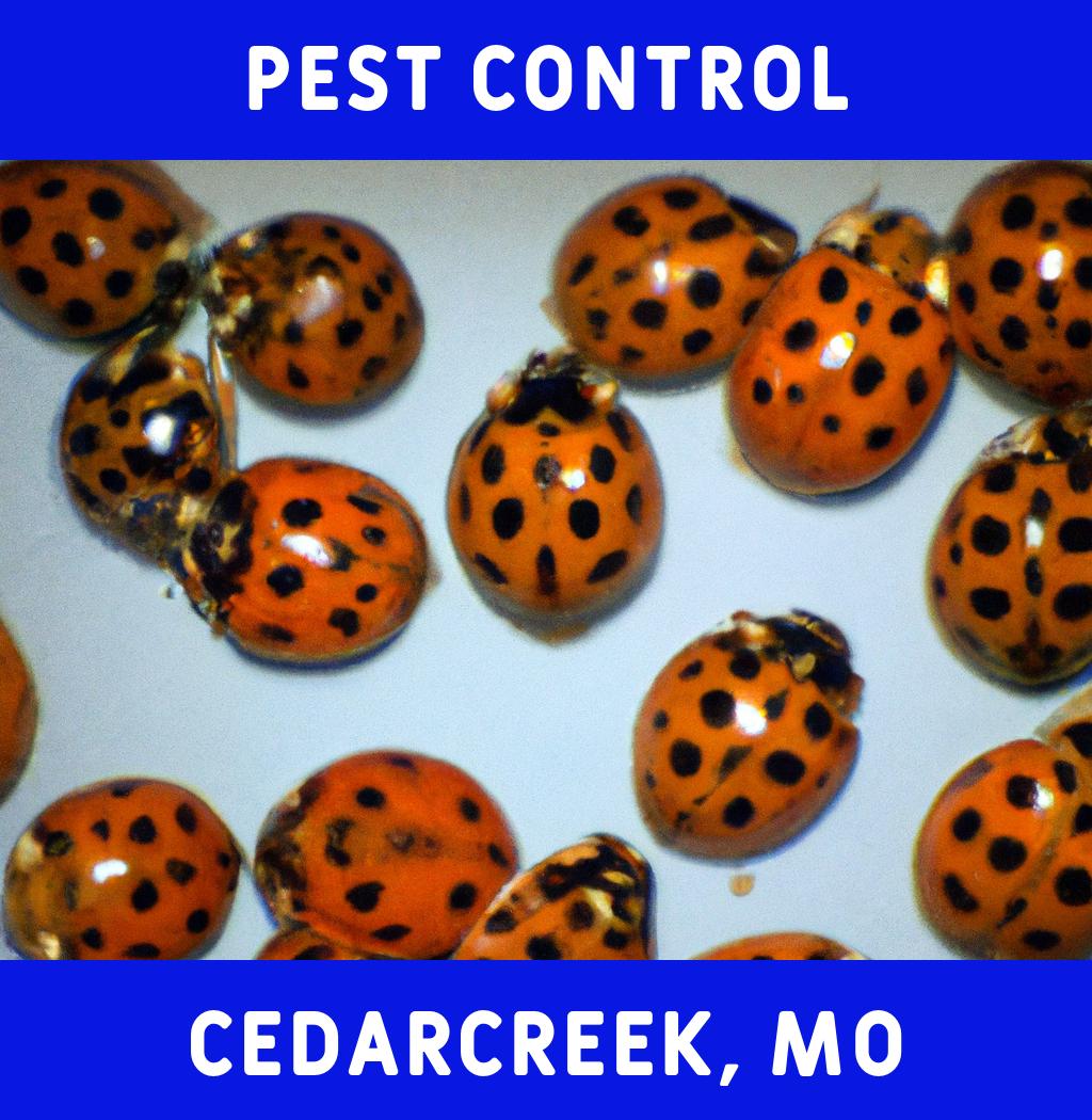 pest control in Cedarcreek Missouri