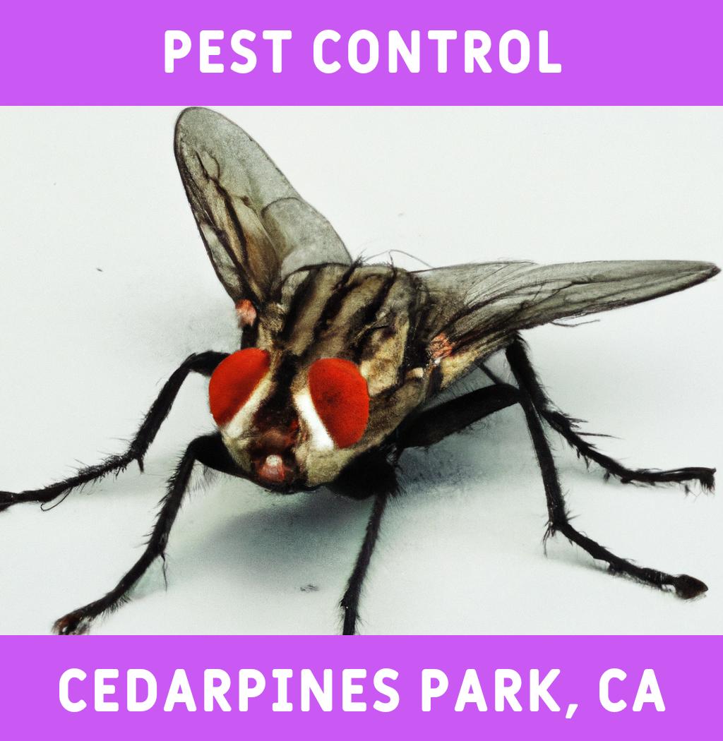 pest control in Cedarpines Park California