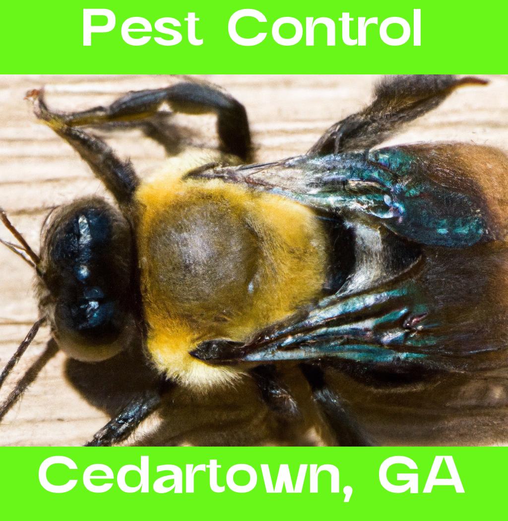 pest control in Cedartown Georgia