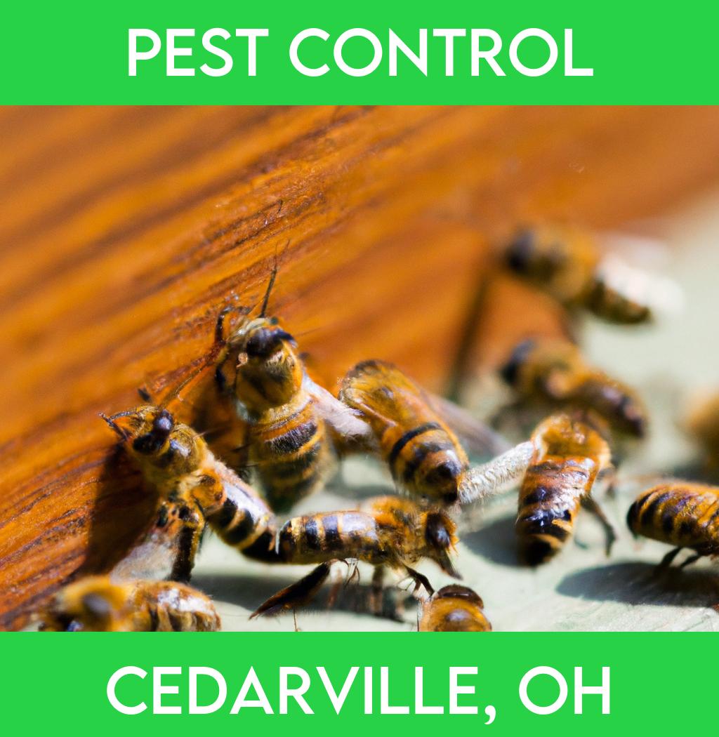 pest control in Cedarville Ohio