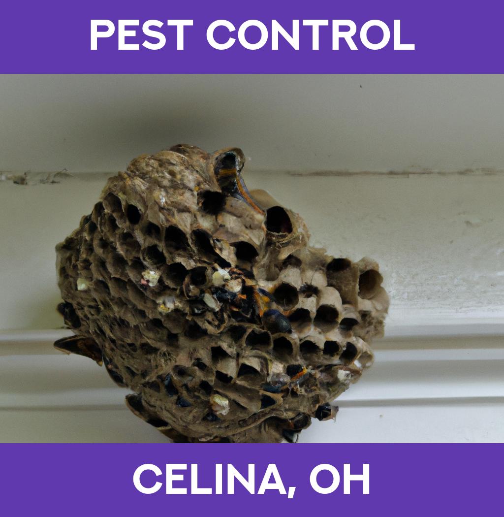 pest control in Celina Ohio