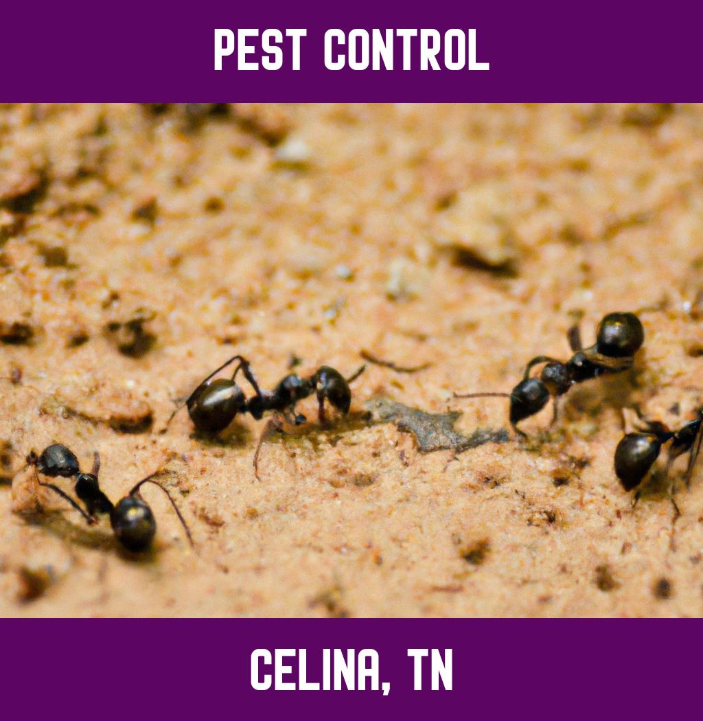 pest control in Celina Tennessee