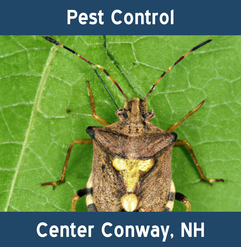 pest control in Center Conway New Hampshire
