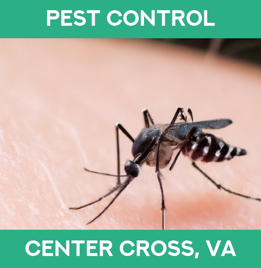 pest control in Center Cross Virginia