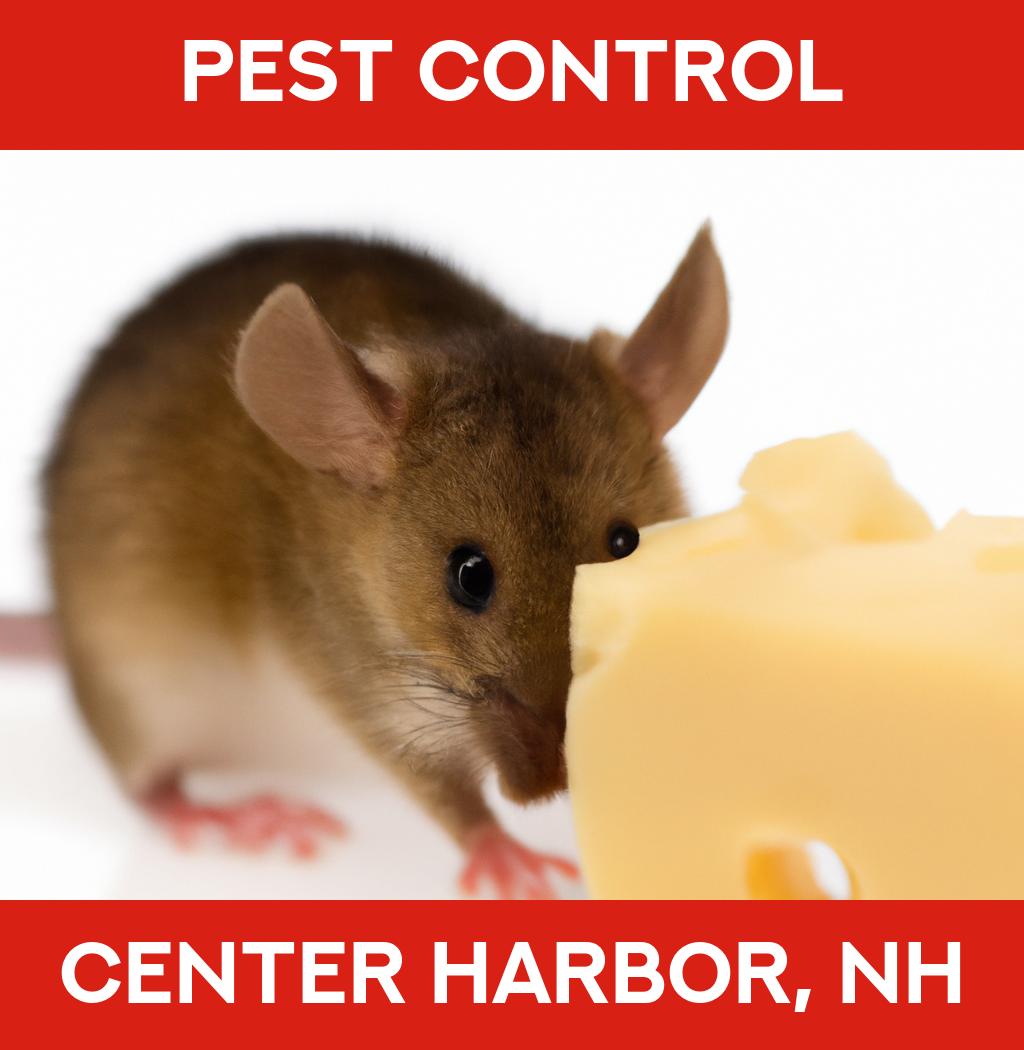 pest control in Center Harbor New Hampshire