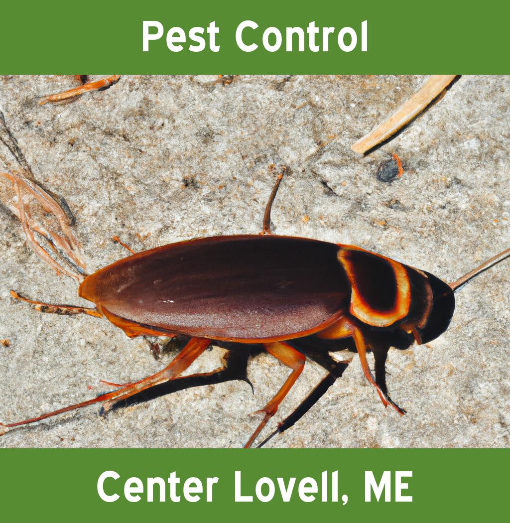 pest control in Center Lovell Maine