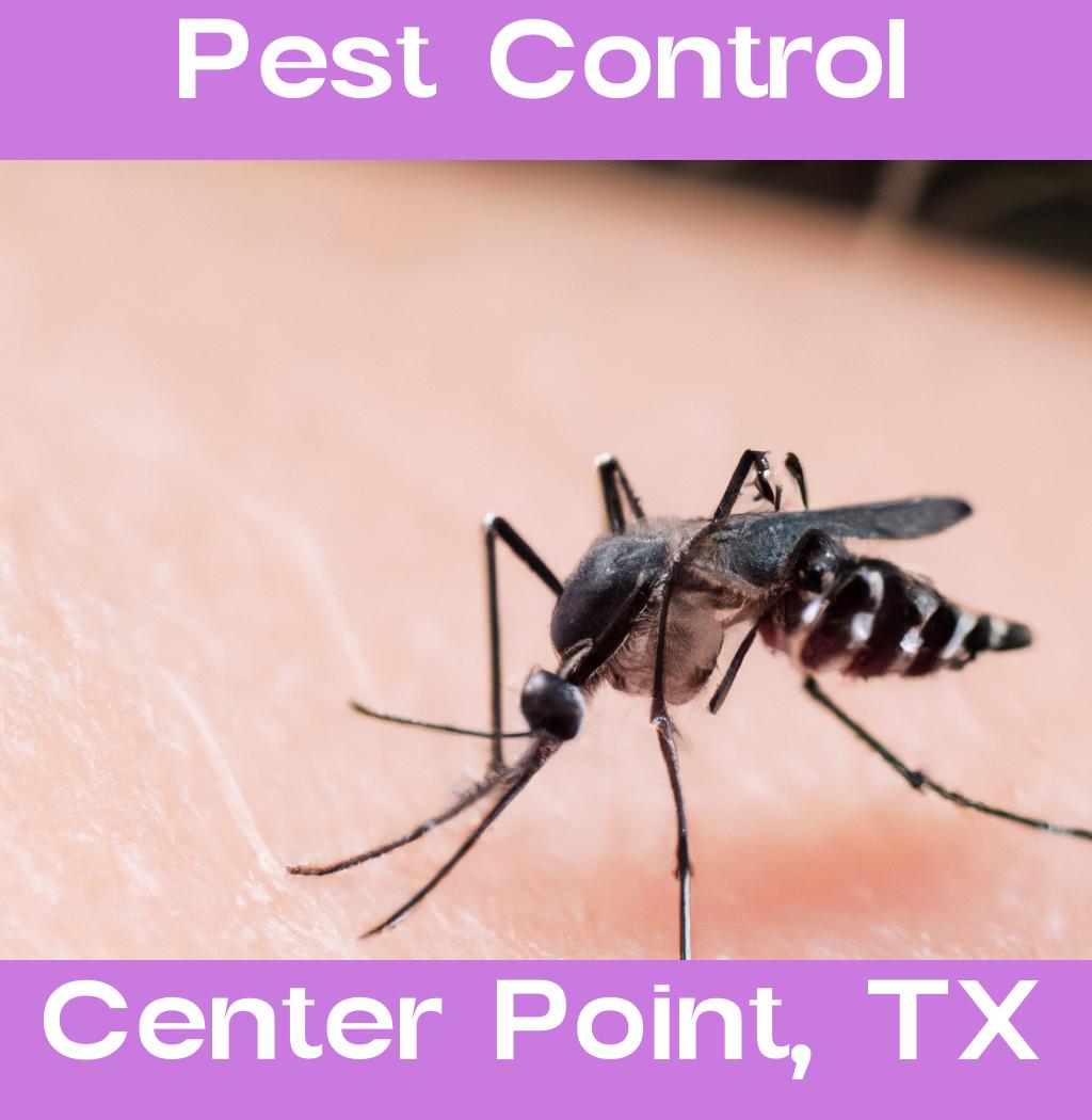 pest control in Center Point Texas
