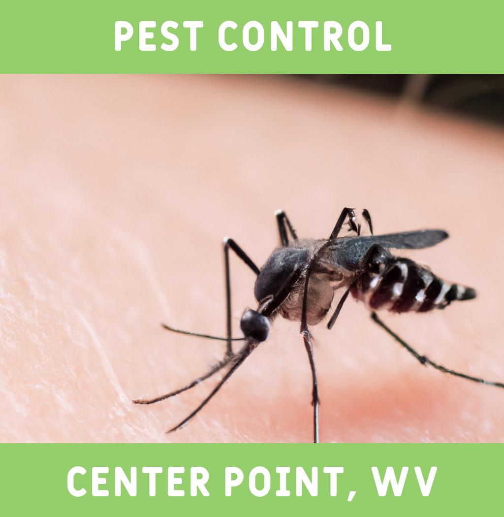 pest control in Center Point West Virginia