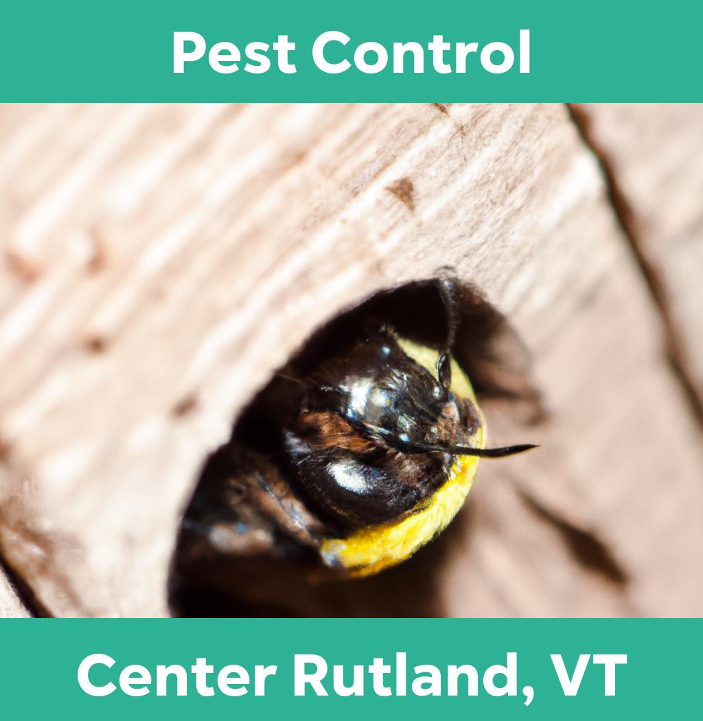 pest control in Center Rutland Vermont