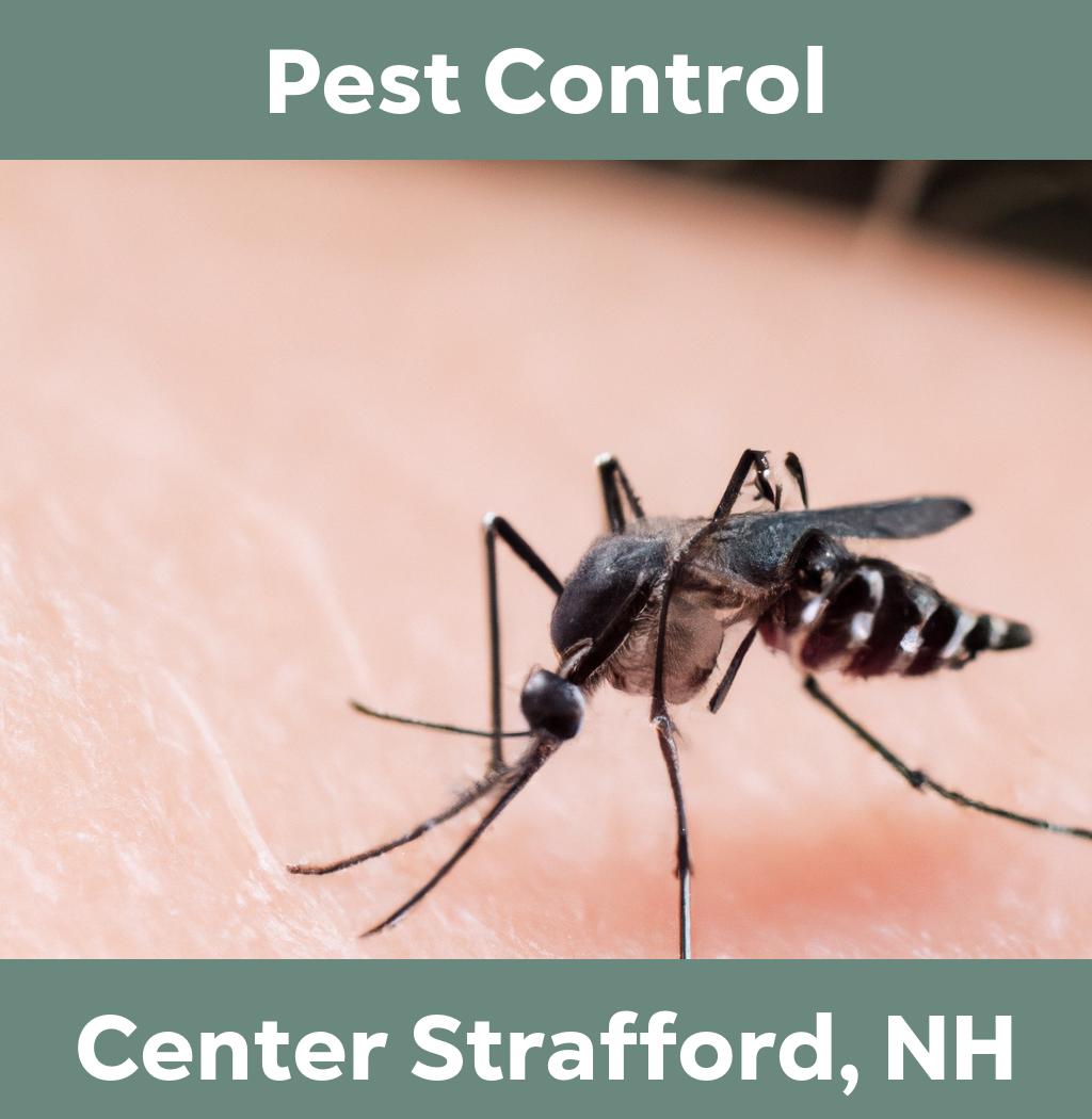 pest control in Center Strafford New Hampshire