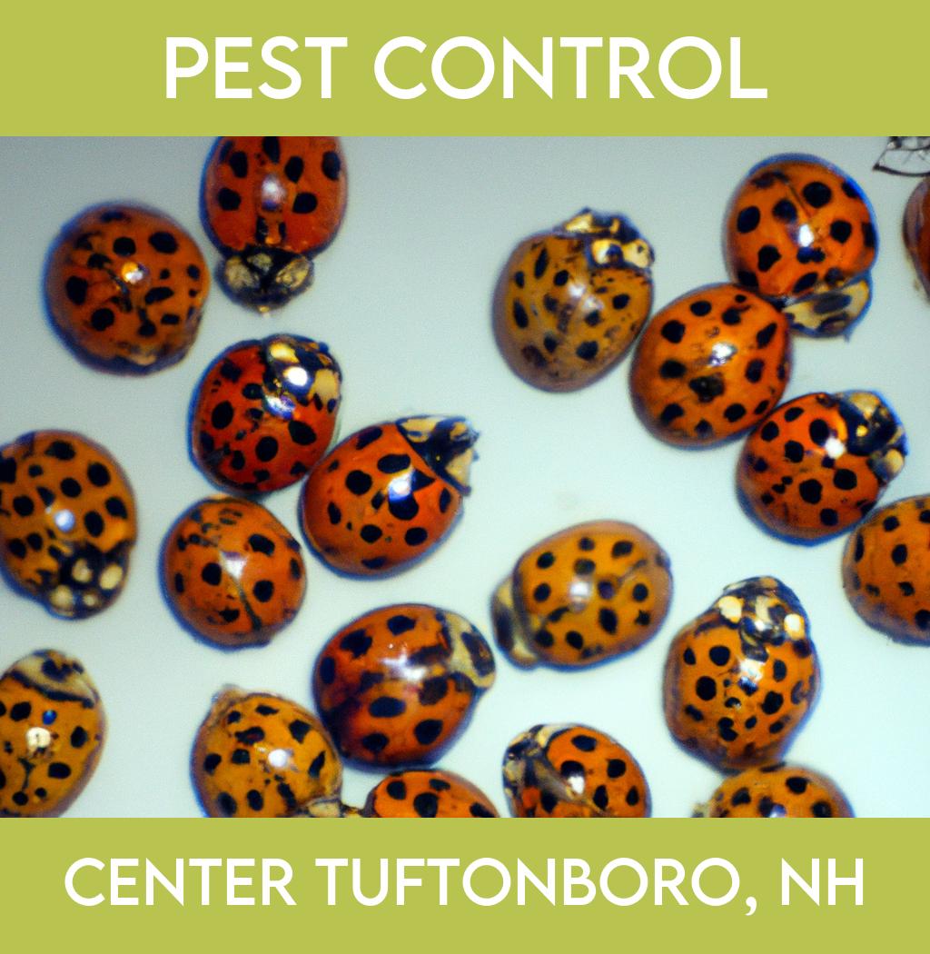 pest control in Center Tuftonboro New Hampshire