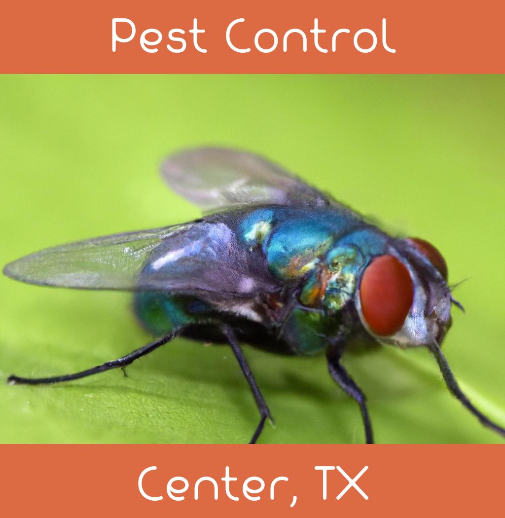 pest control in Center Texas