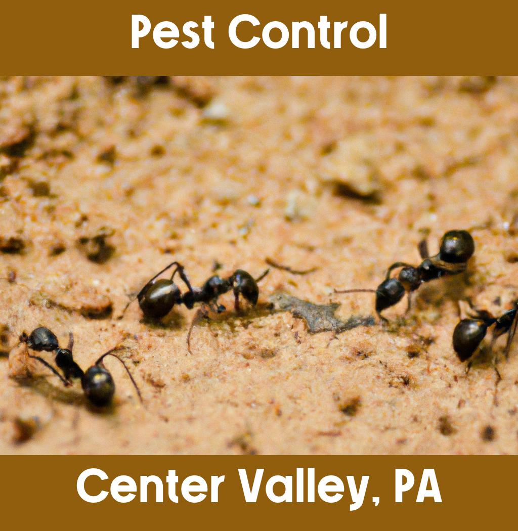 pest control in Center Valley Pennsylvania