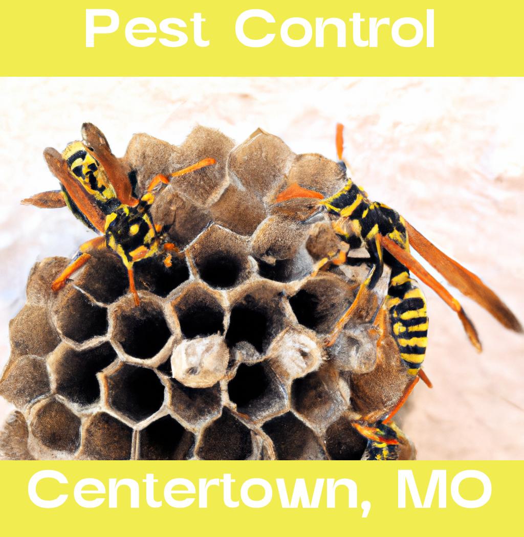 pest control in Centertown Missouri