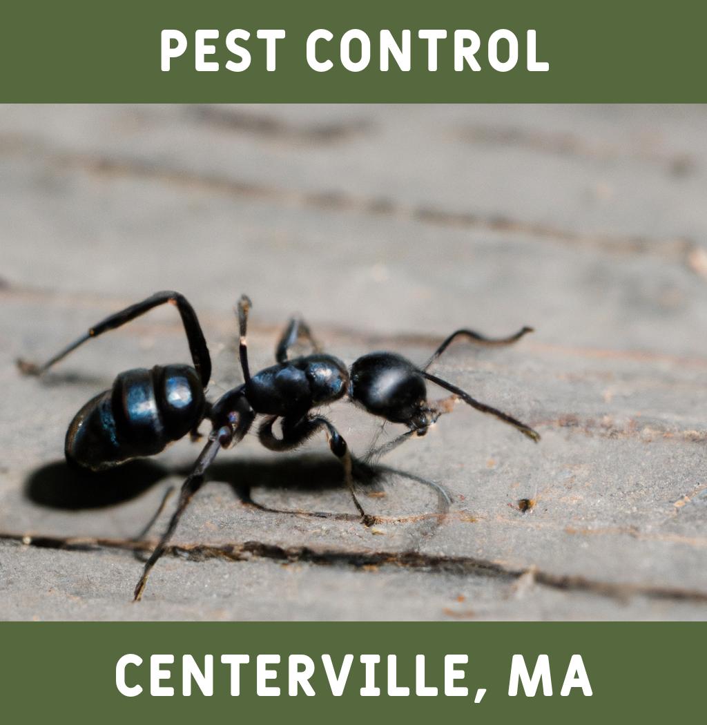 pest control in Centerville Massachusetts