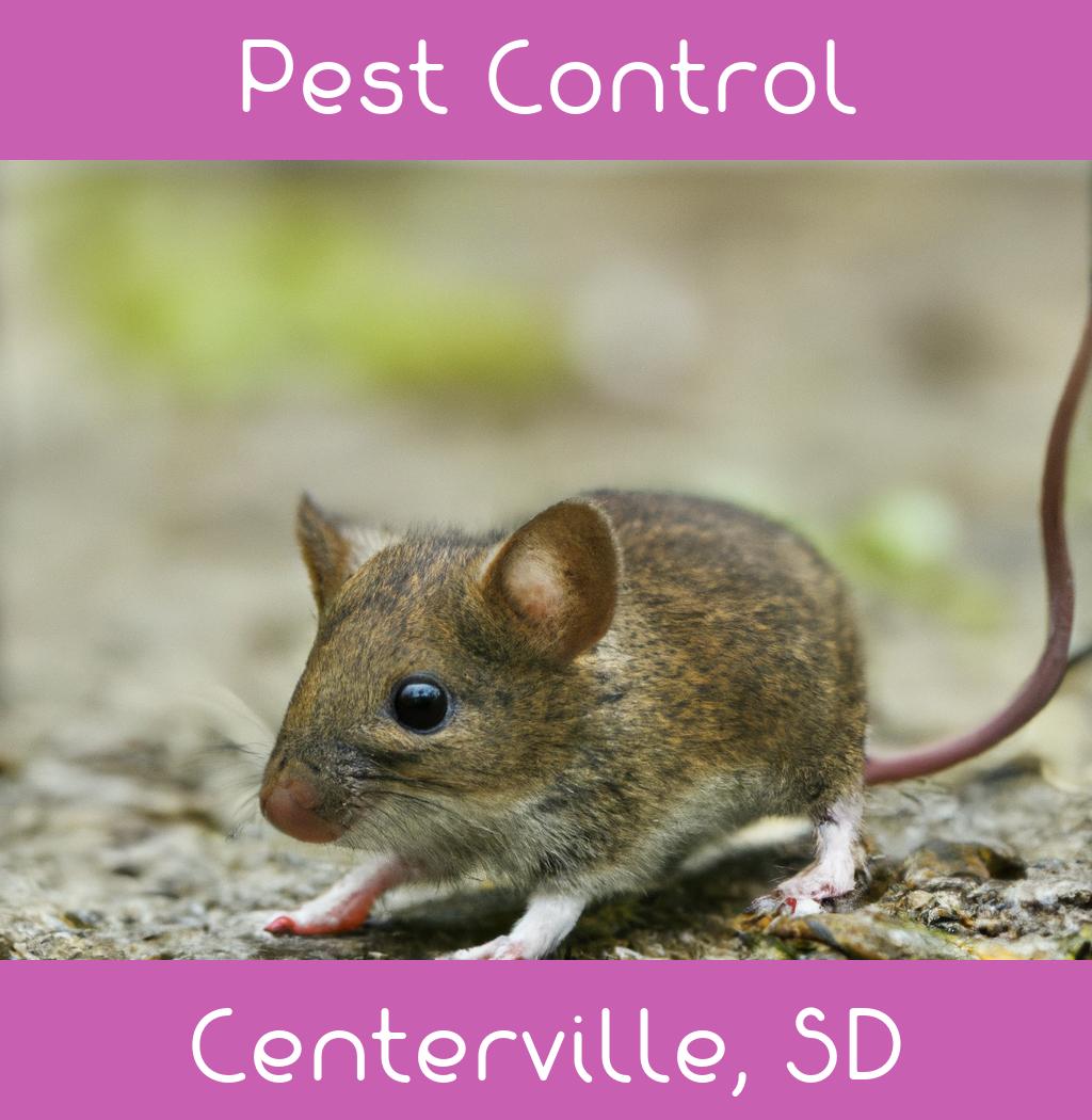 pest control in Centerville South Dakota