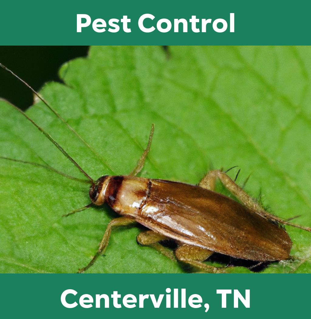 pest control in Centerville Tennessee