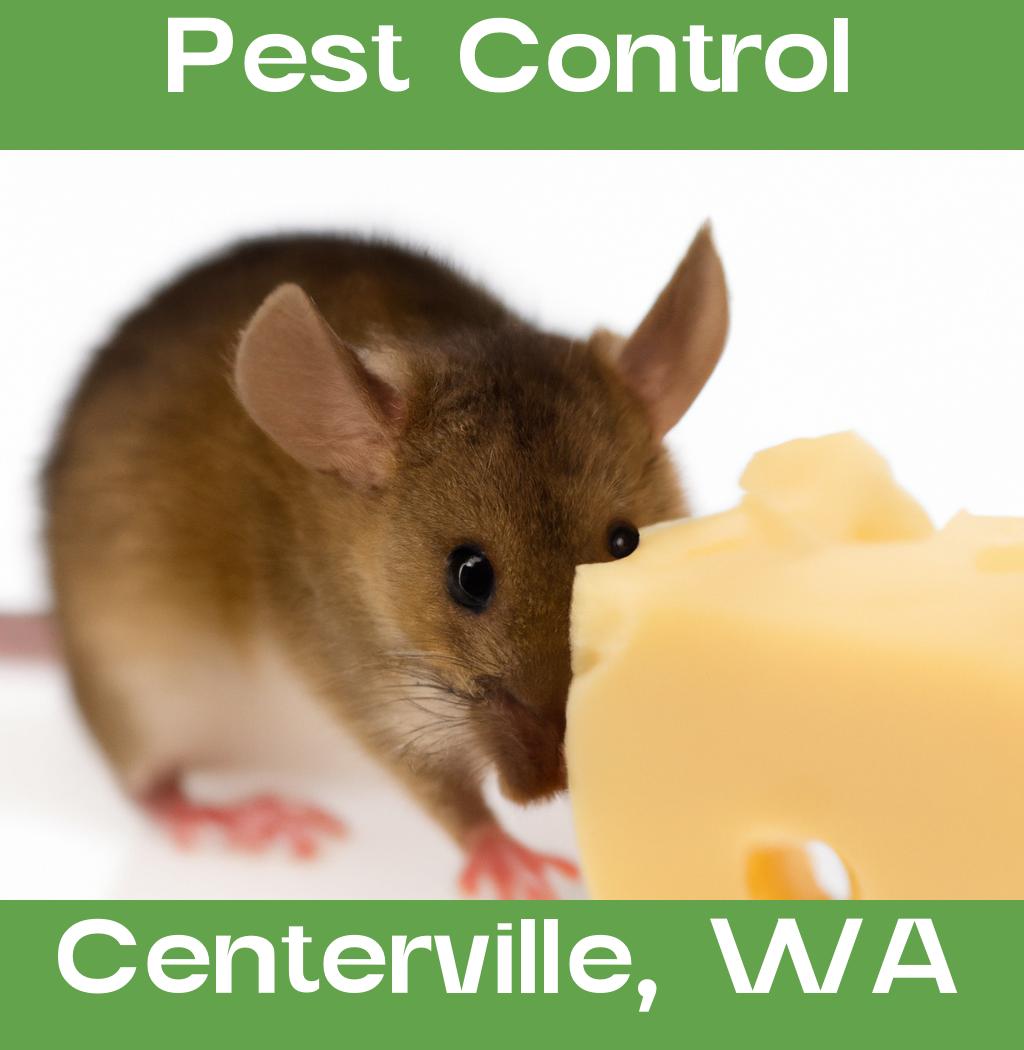pest control in Centerville Washington