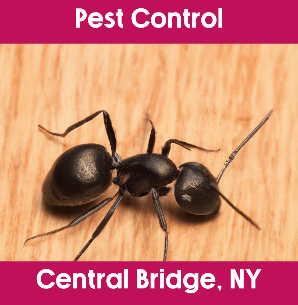 pest control in Central Bridge New York