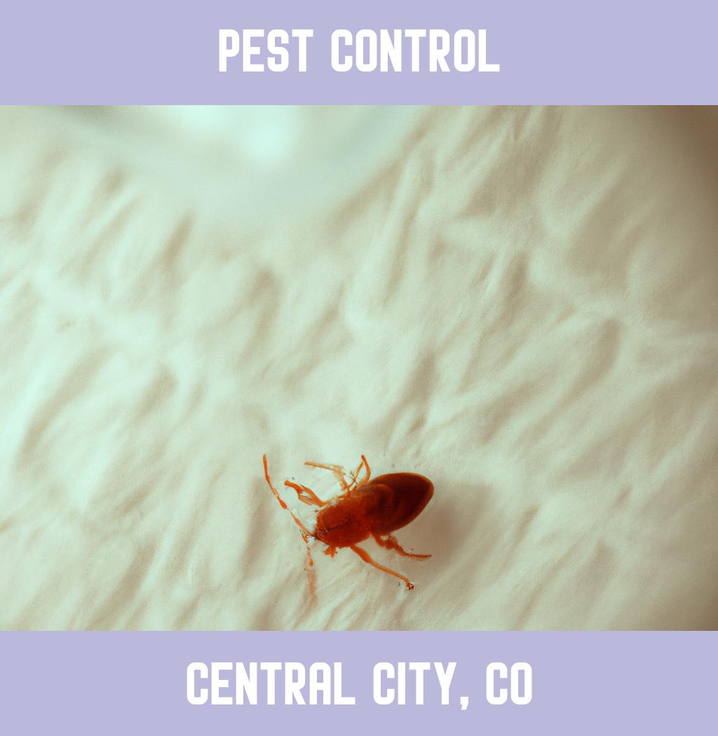 pest control in Central City Colorado