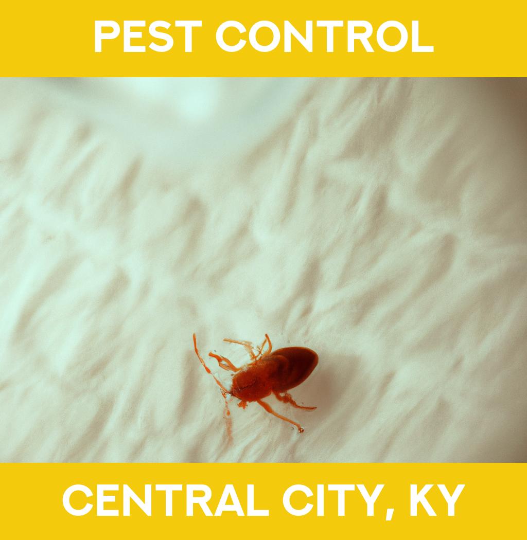 pest control in Central City Kentucky