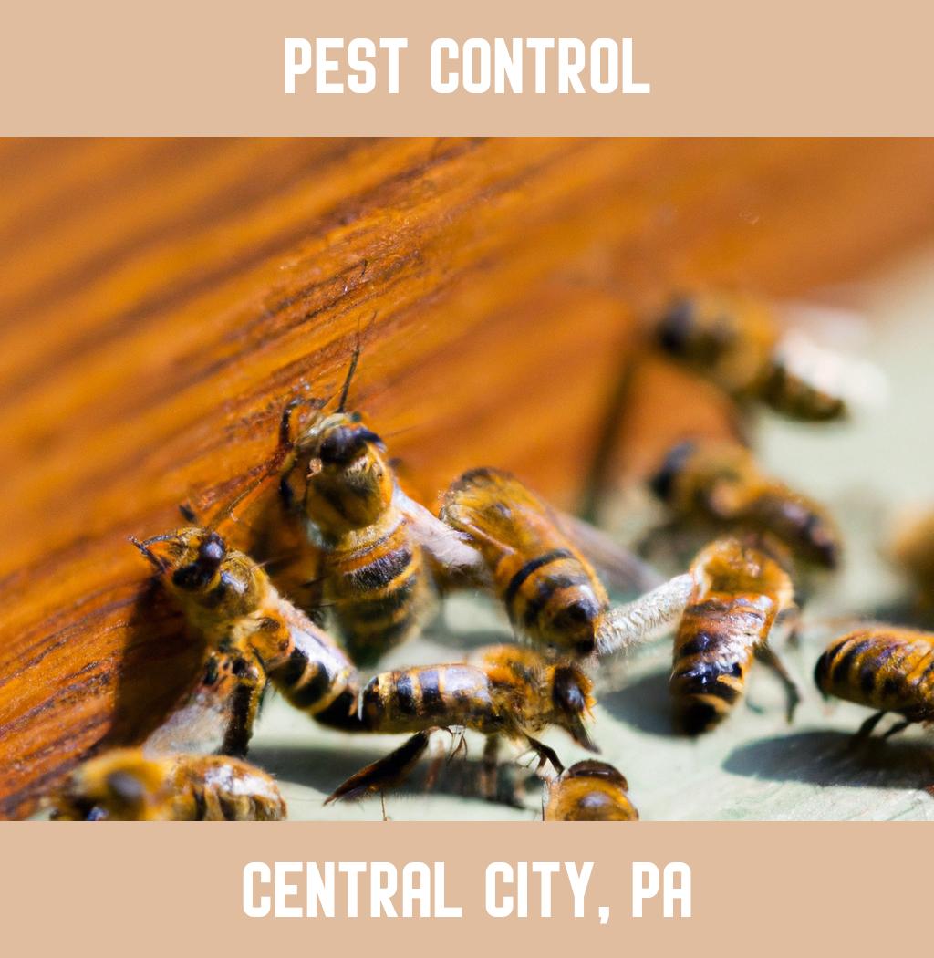 pest control in Central City Pennsylvania