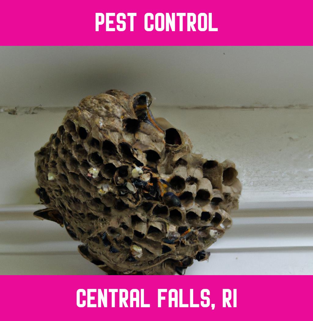 pest control in Central Falls Rhode Island