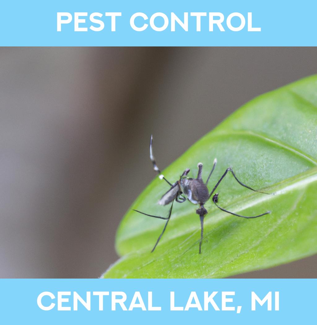 pest control in Central Lake Michigan