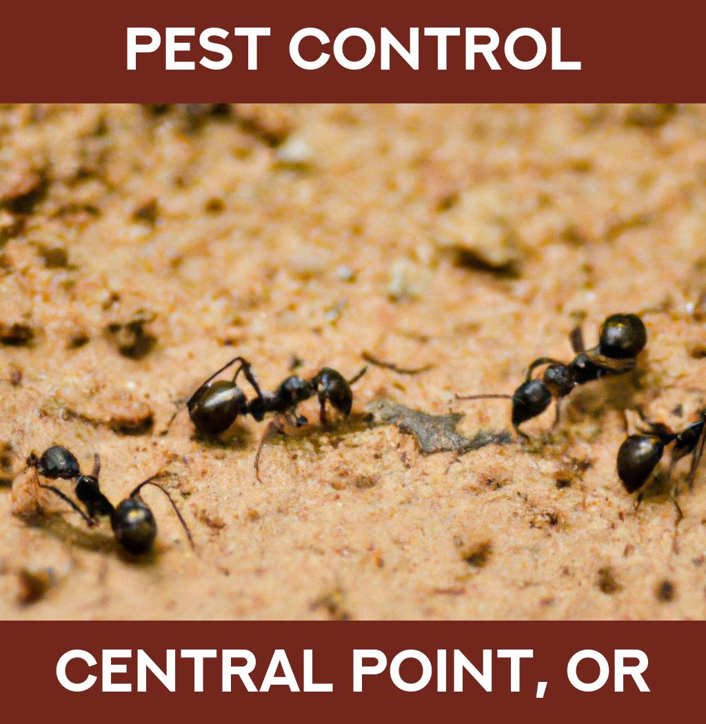 pest control in Central Point Oregon