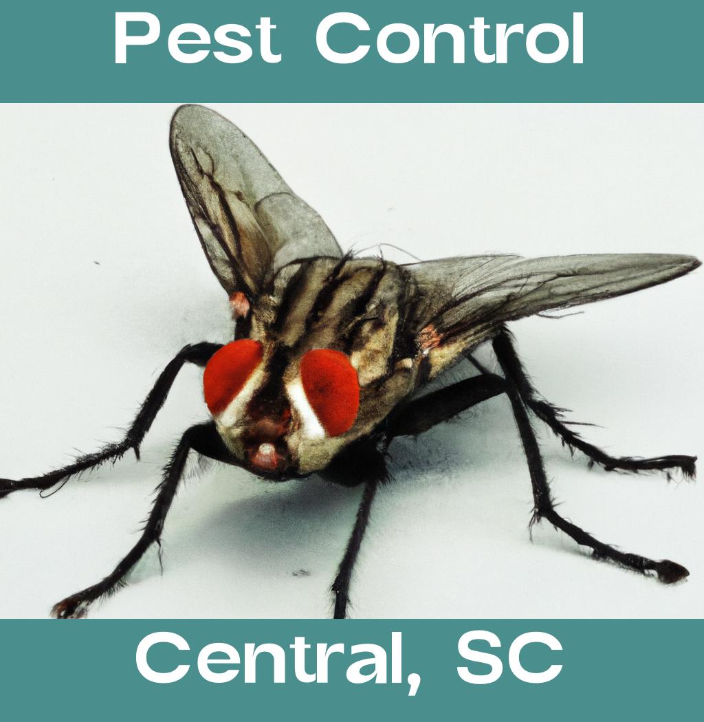 pest control in Central South Carolina