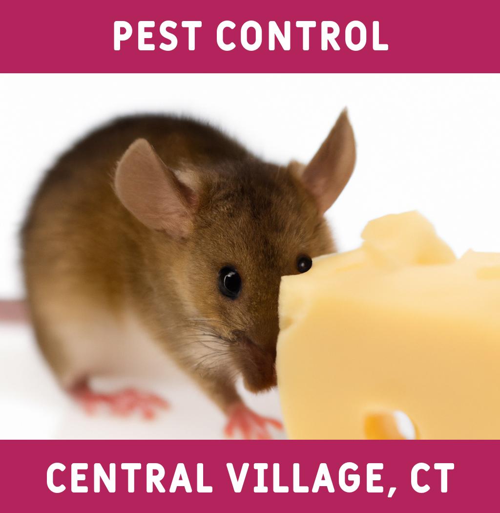 pest control in Central Village Connecticut