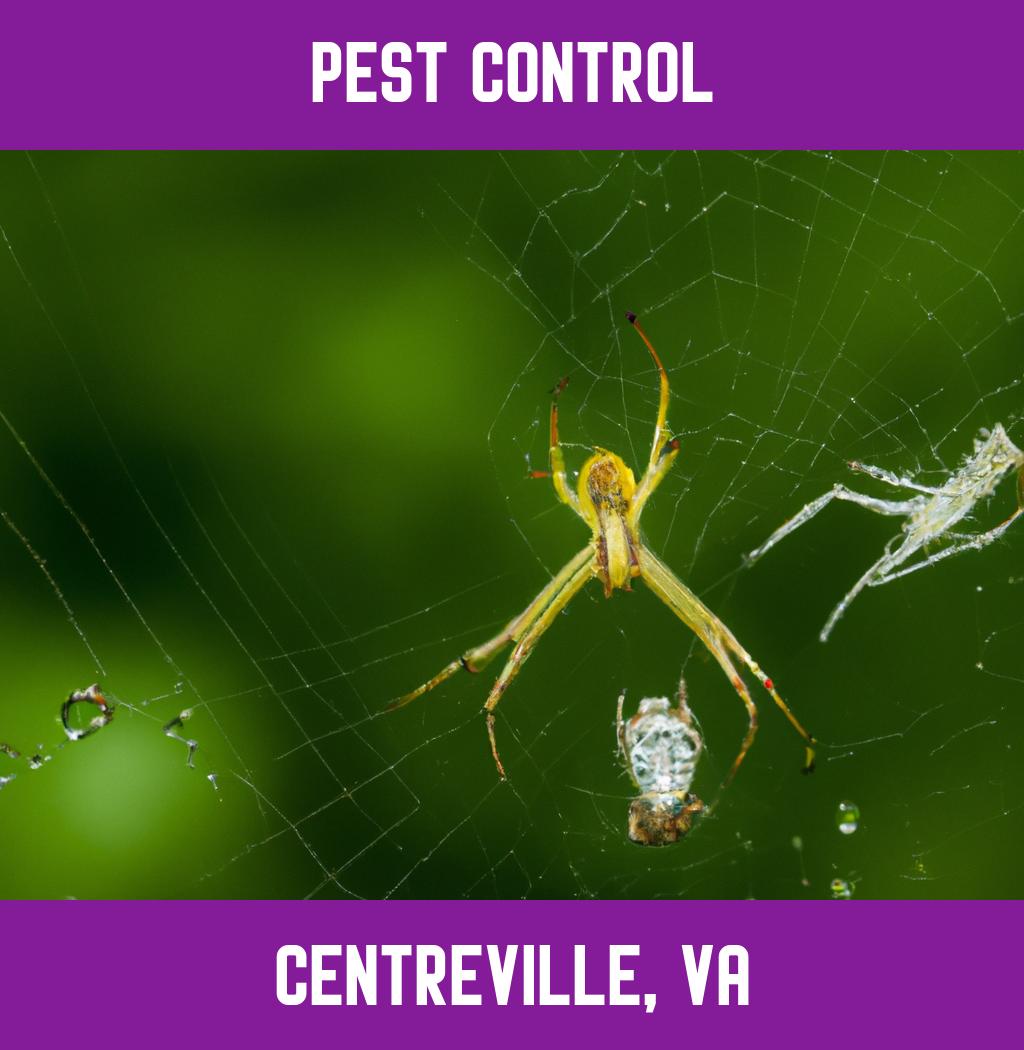 pest control in Centreville Virginia