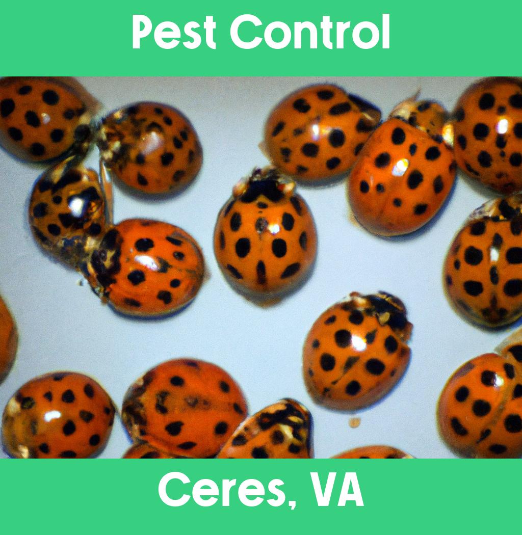 pest control in Ceres Virginia