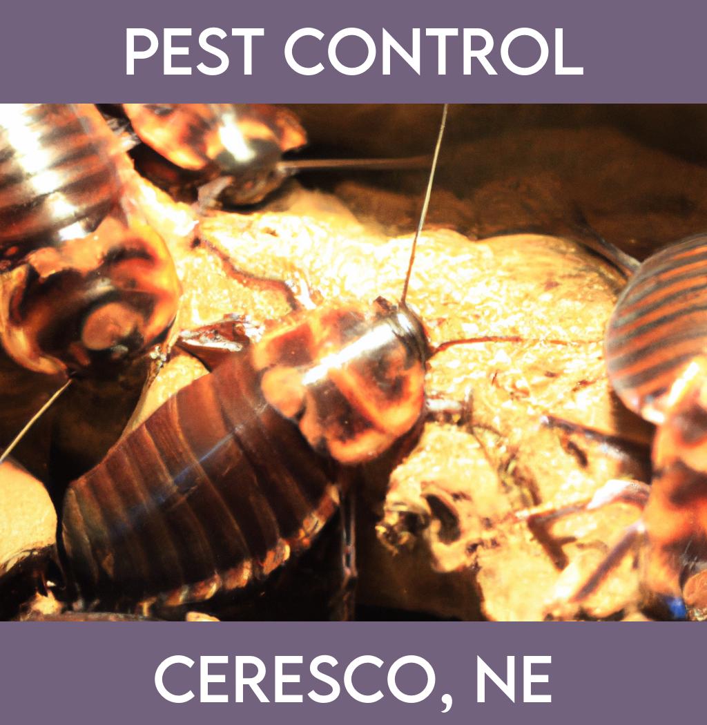 pest control in Ceresco Nebraska