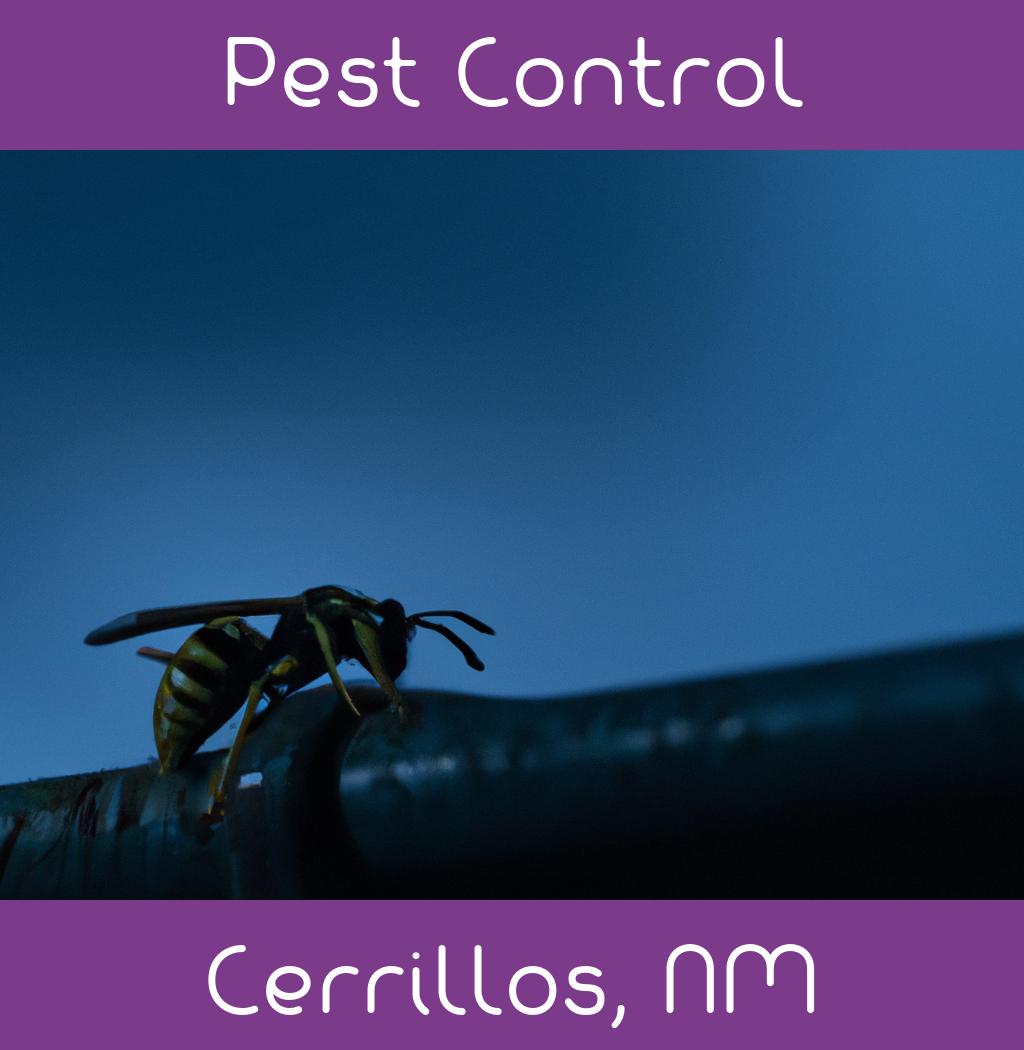 pest control in Cerrillos New Mexico