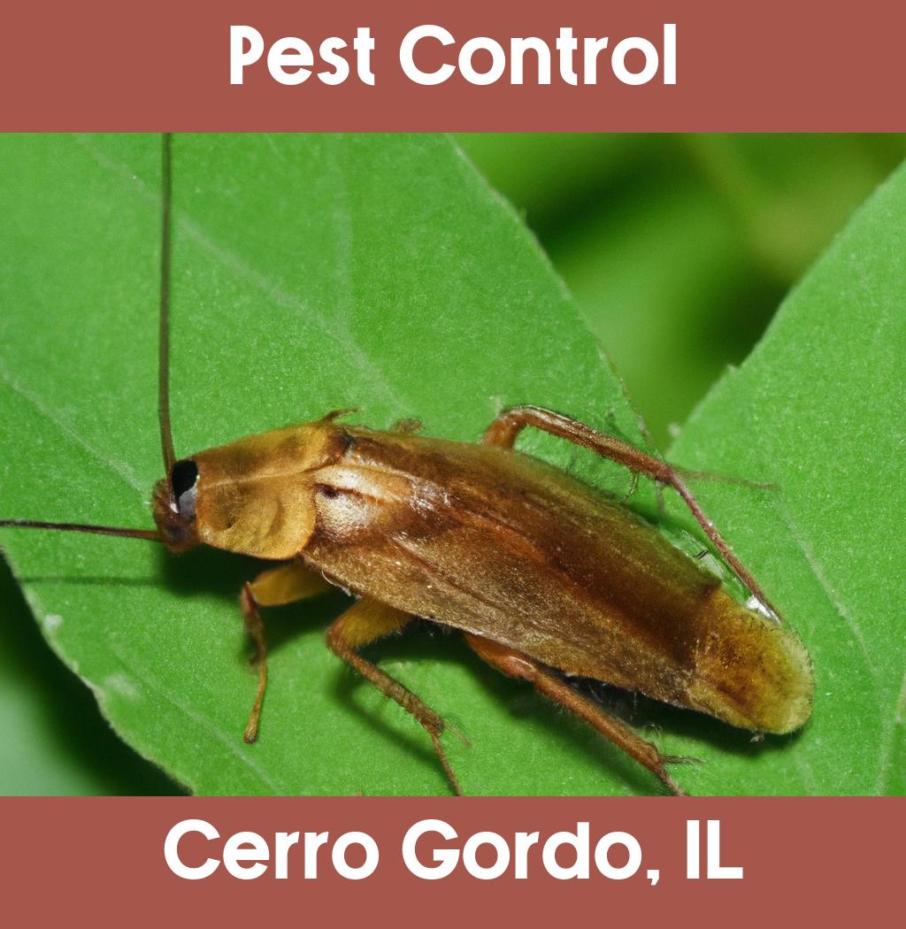 pest control in Cerro Gordo Illinois