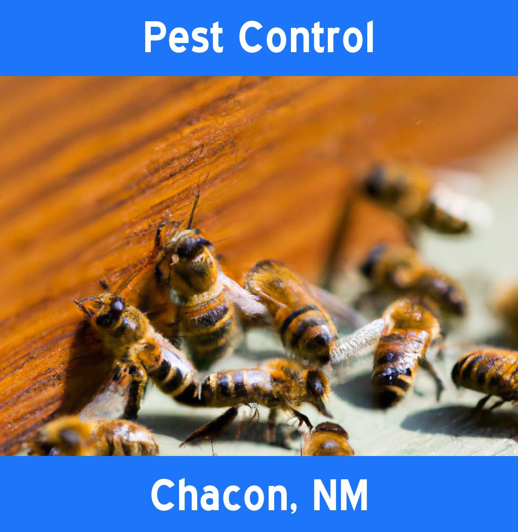 pest control in Chacon New Mexico