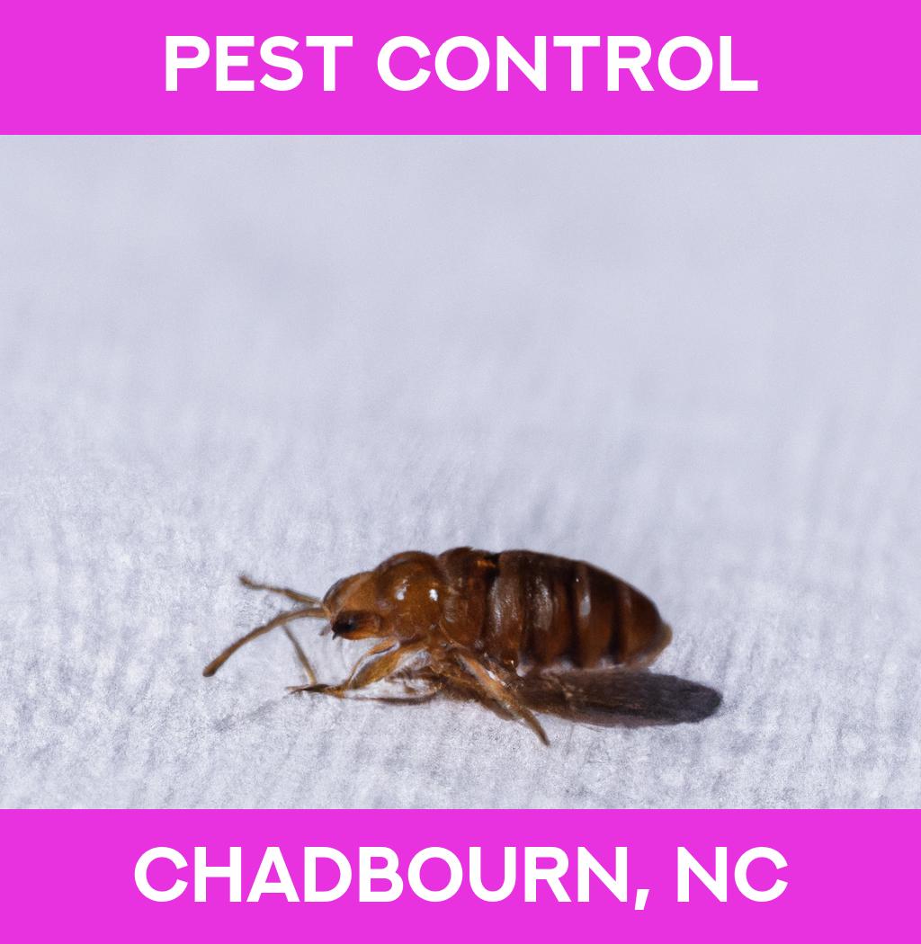 pest control in Chadbourn North Carolina