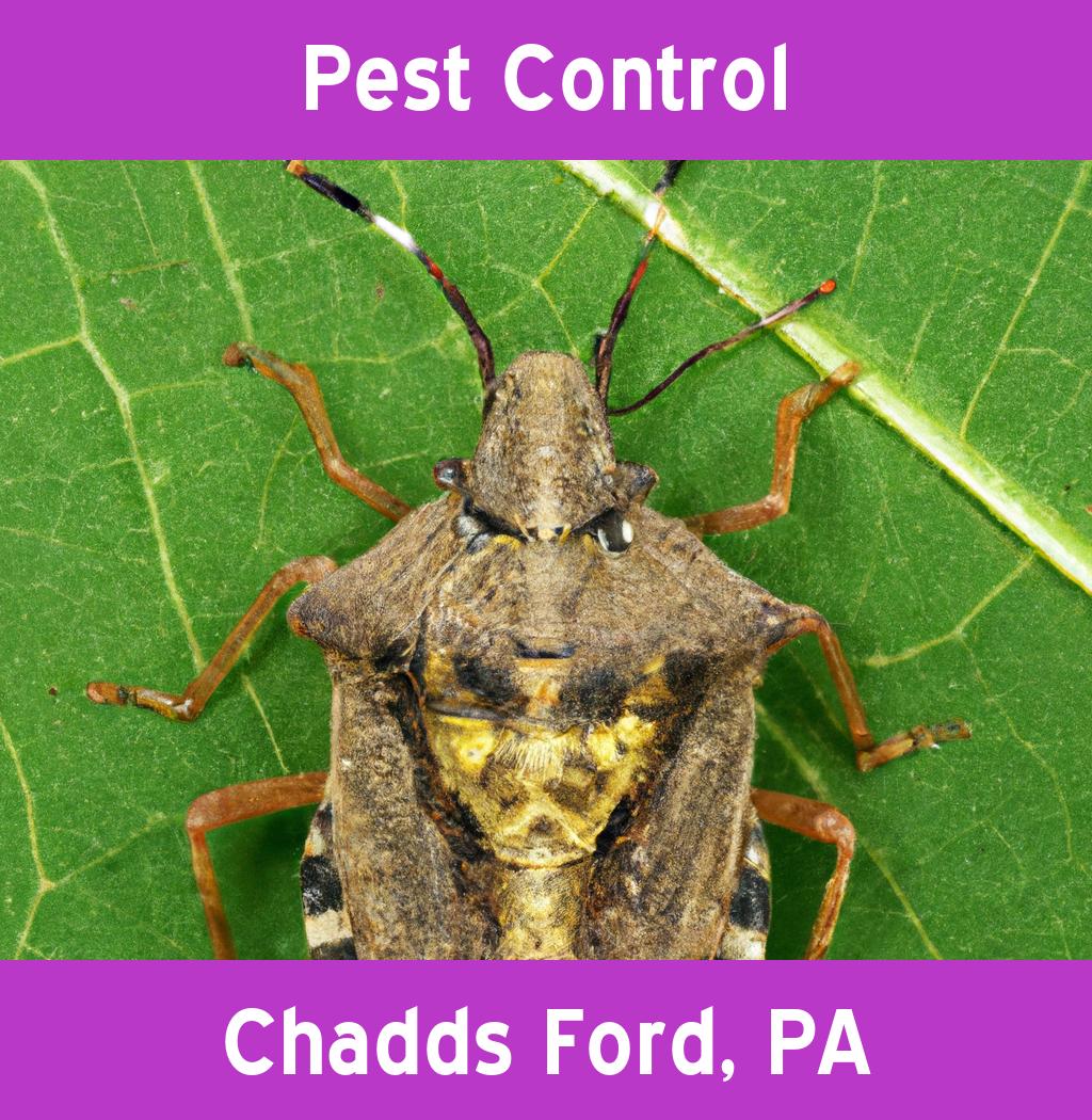 pest control in Chadds Ford Pennsylvania