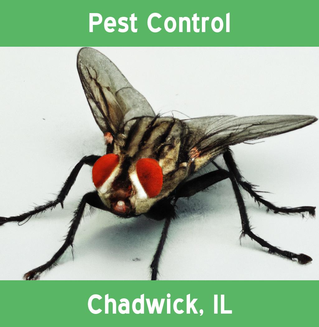pest control in Chadwick Illinois