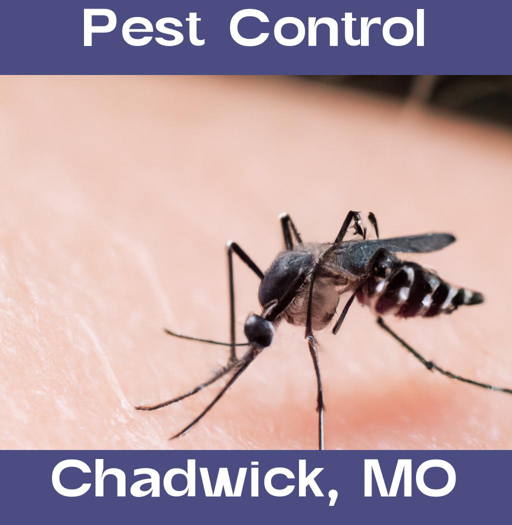 pest control in Chadwick Missouri
