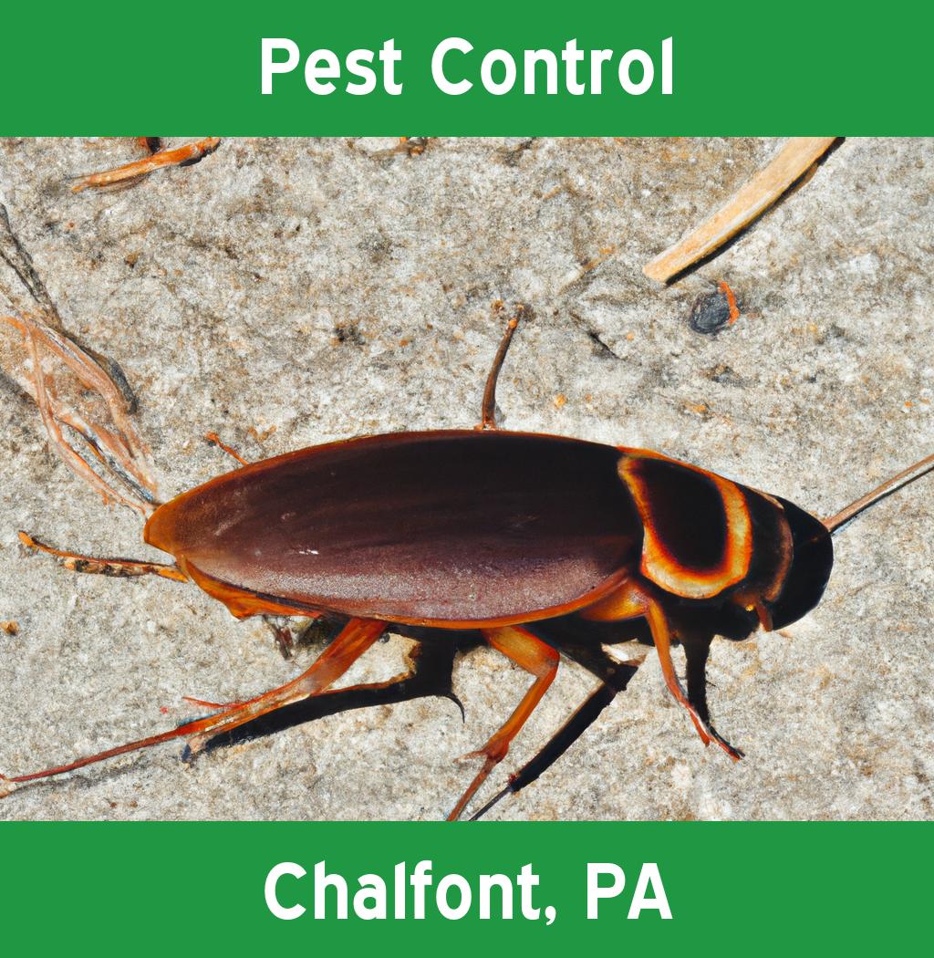 pest control in Chalfont Pennsylvania
