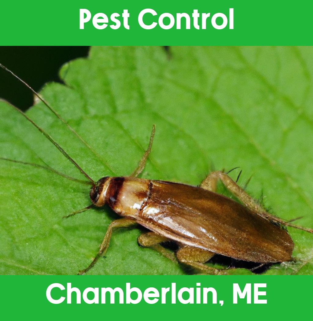 pest control in Chamberlain Maine